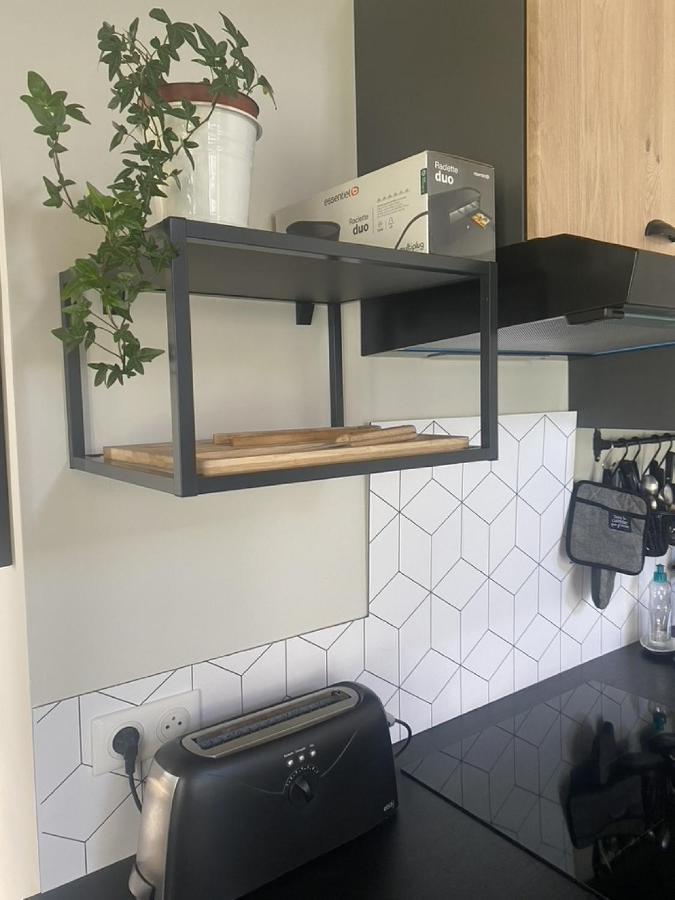 Ginkobiloba : Appartement cosy en cœur de ville Bagnères-de-Bigorre Extérieur photo